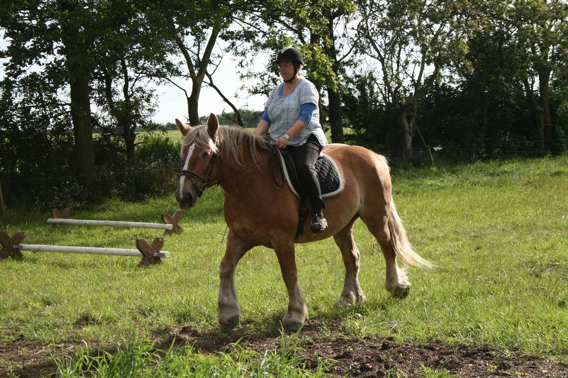 Jyde Ronja billede 14