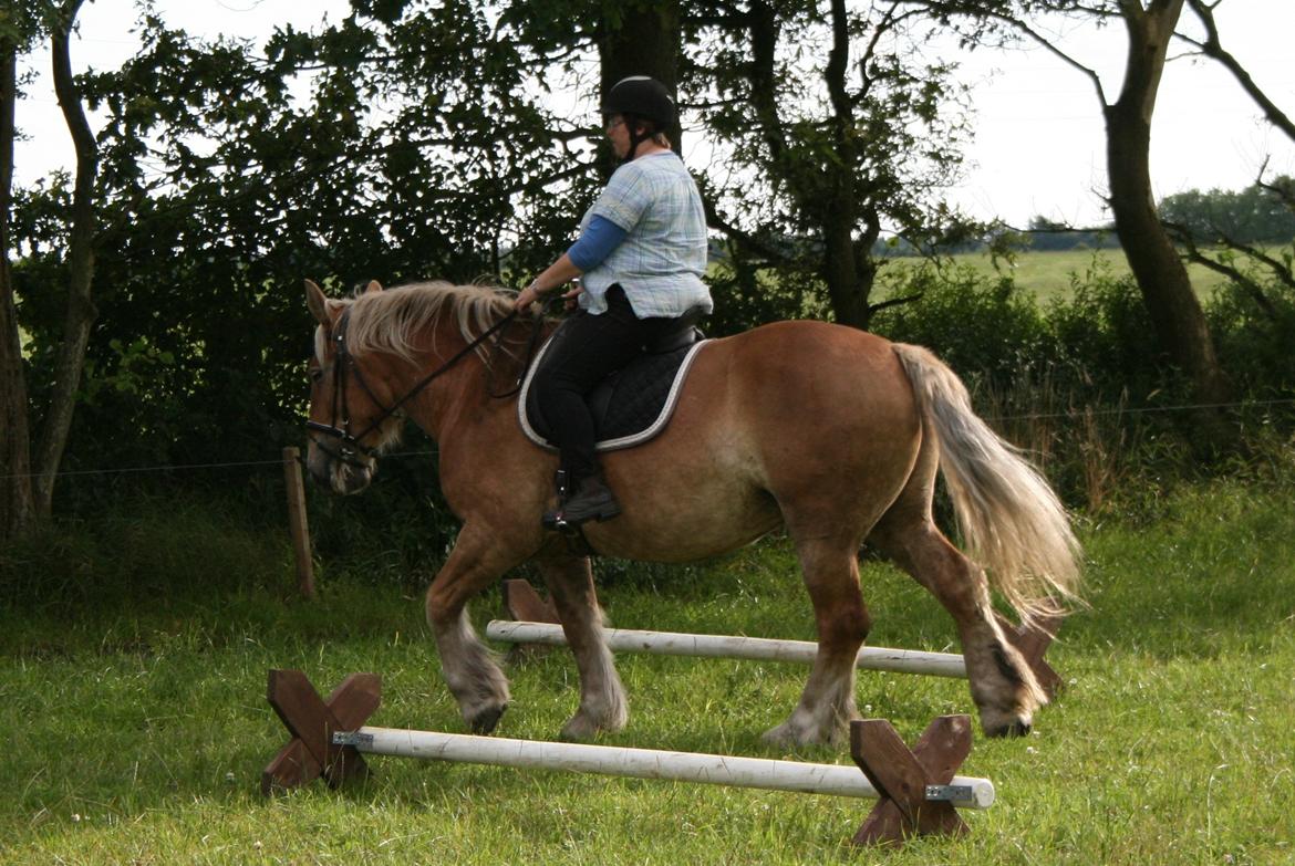 Jyde Ronja billede 15