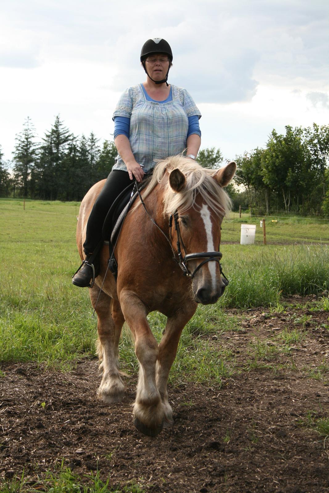 Jyde Ronja billede 16