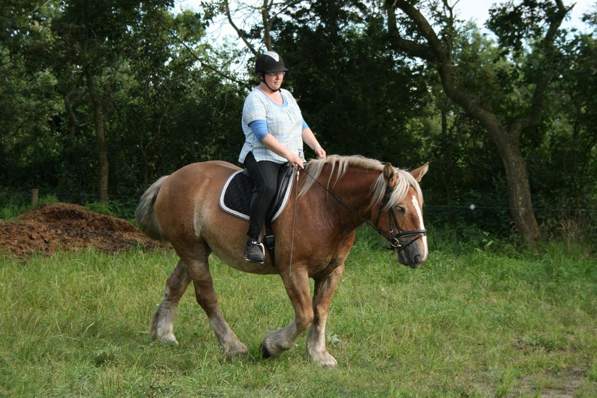 Jyde Ronja billede 17