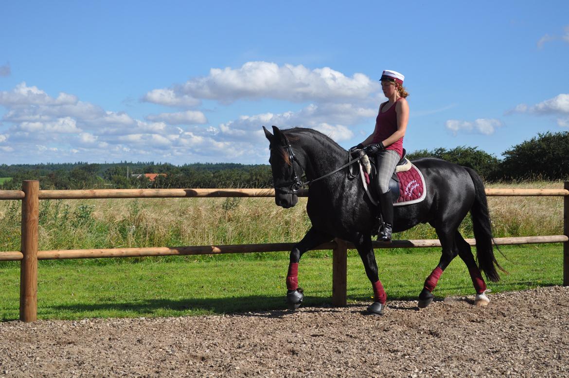 Anden særlig race KJÆRSGAARDS MOONLIGHT - Let øget trav på banen d. 11. august 2012 billede 32