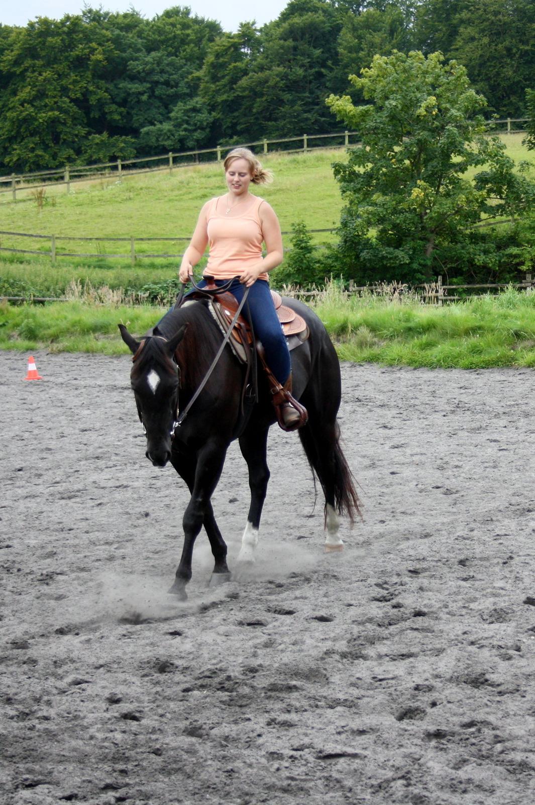 Quarter San Par Vision - OHWR Ridelejr 2012 :) billede 19