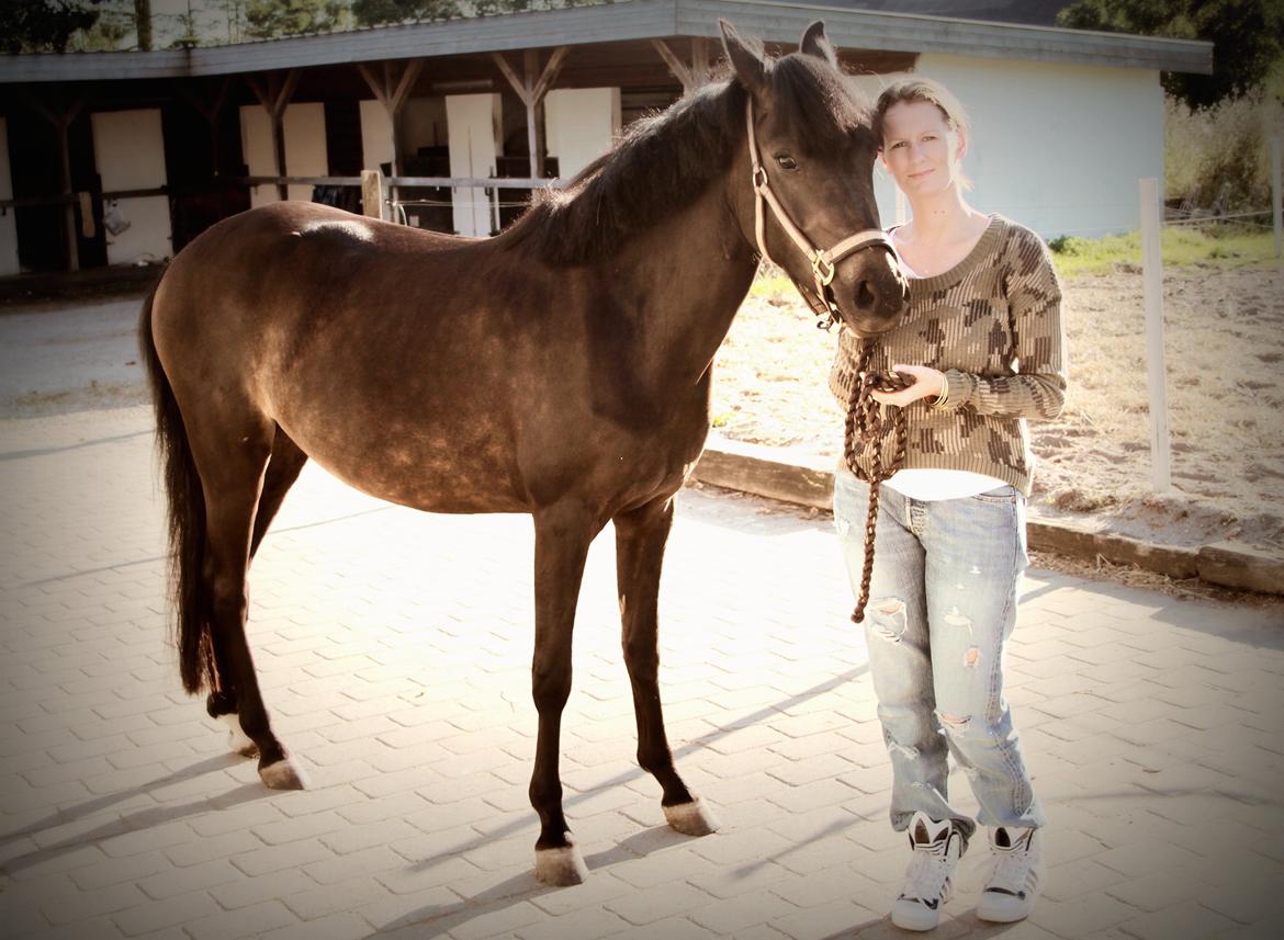 New Forest CK Chanell billede 3