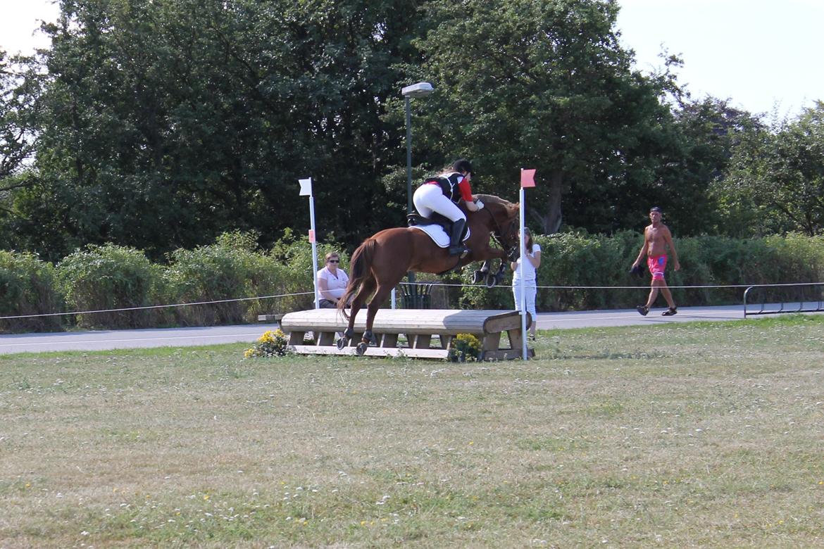 Anden særlig race Barcardi - Sugar Cup 2012 - Malmö, Sverige! billede 2