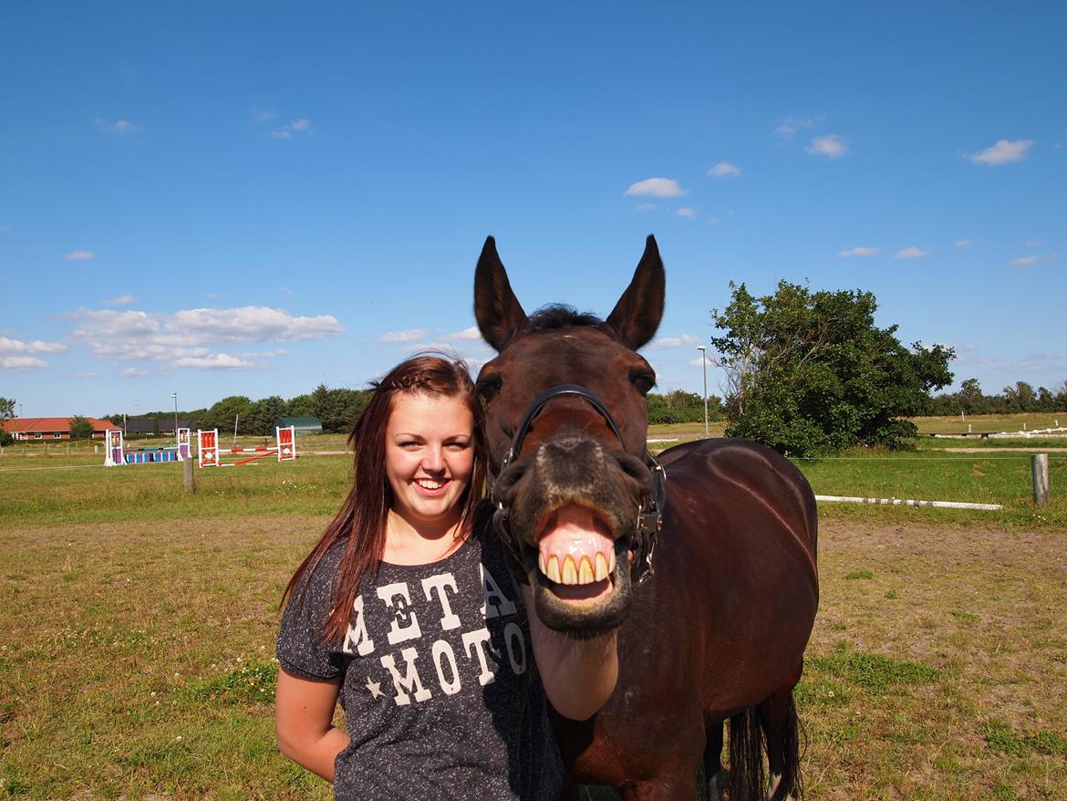 Traver Queen For Charity (SE) billede 8