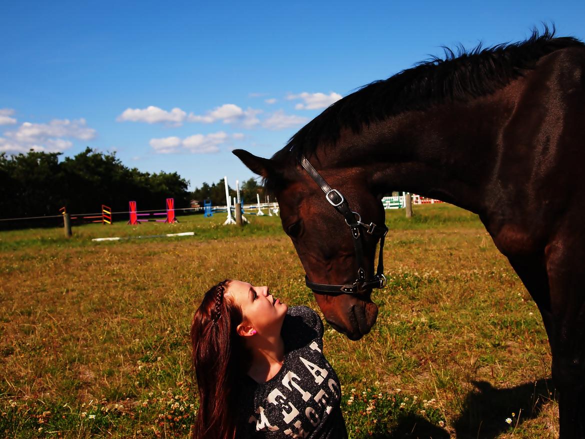 Traver Queen For Charity (SE) billede 9