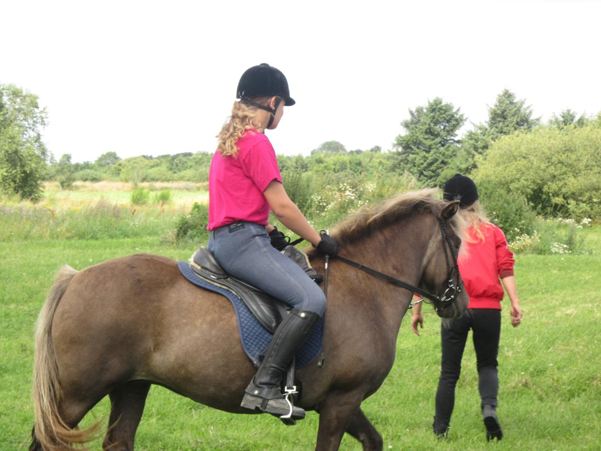 Islænder Gøff (fasters hest) [ i fole) - Mig der rider  billede 3