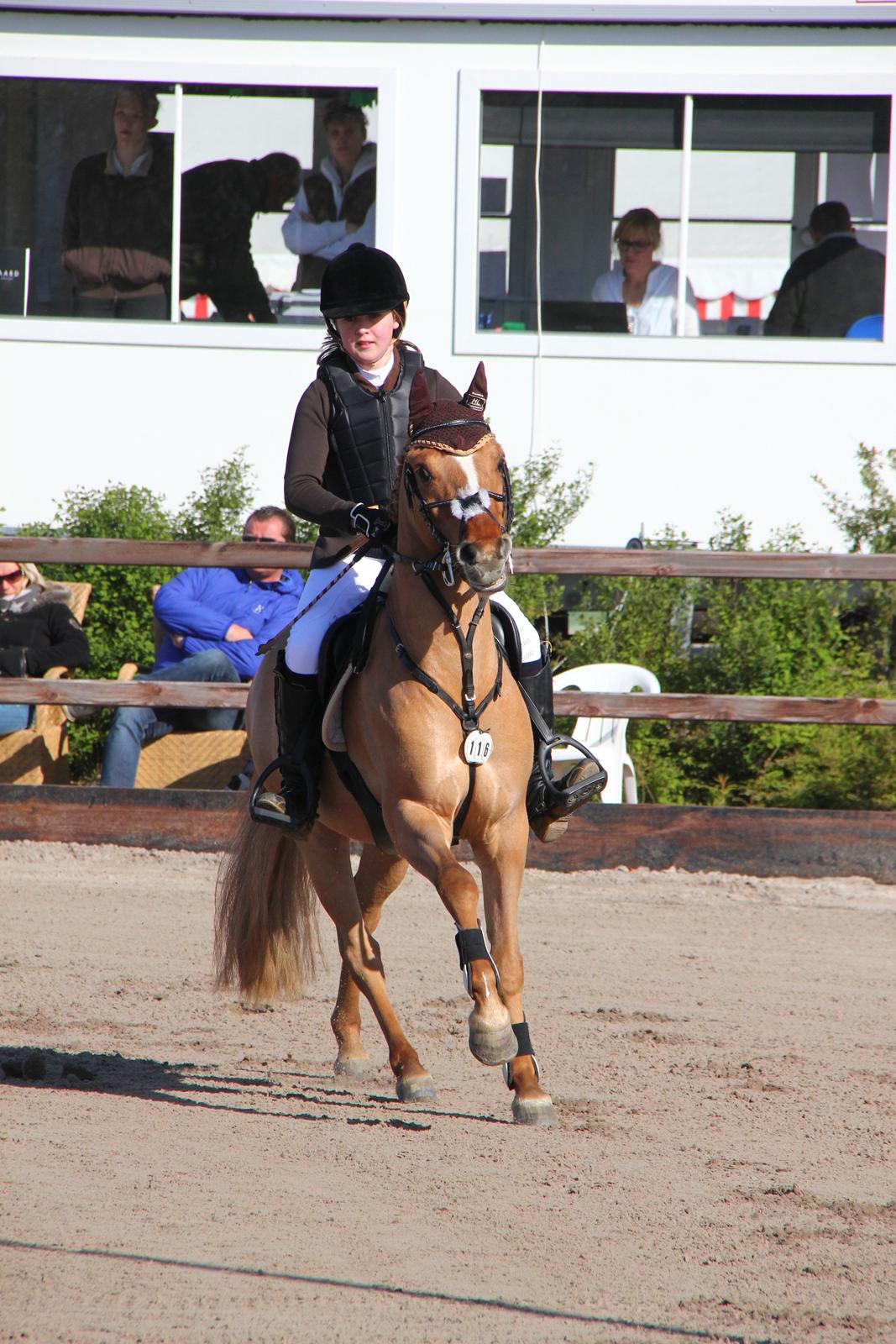 Anden særlig race Idefix billede 8