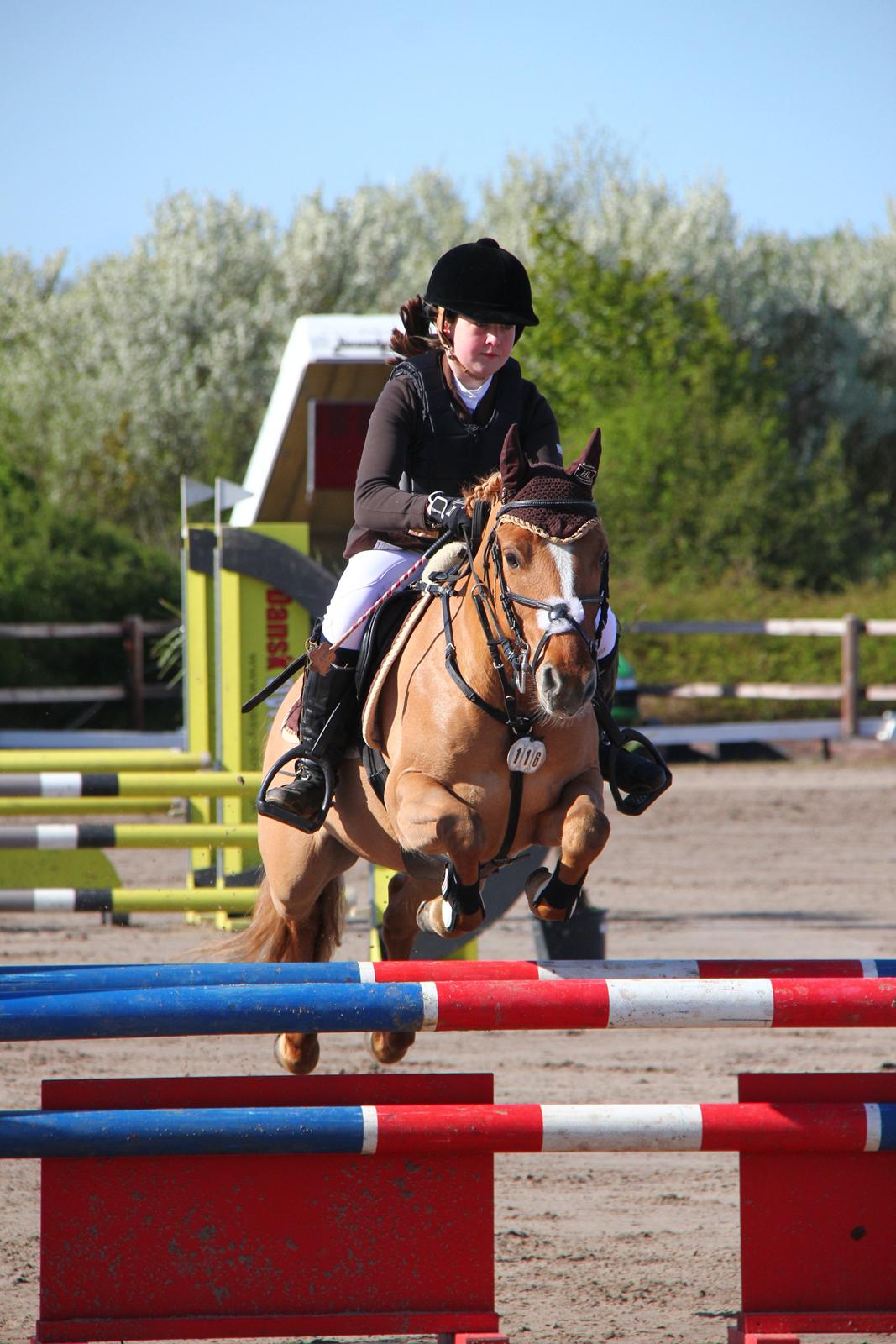 Anden særlig race Idefix billede 3