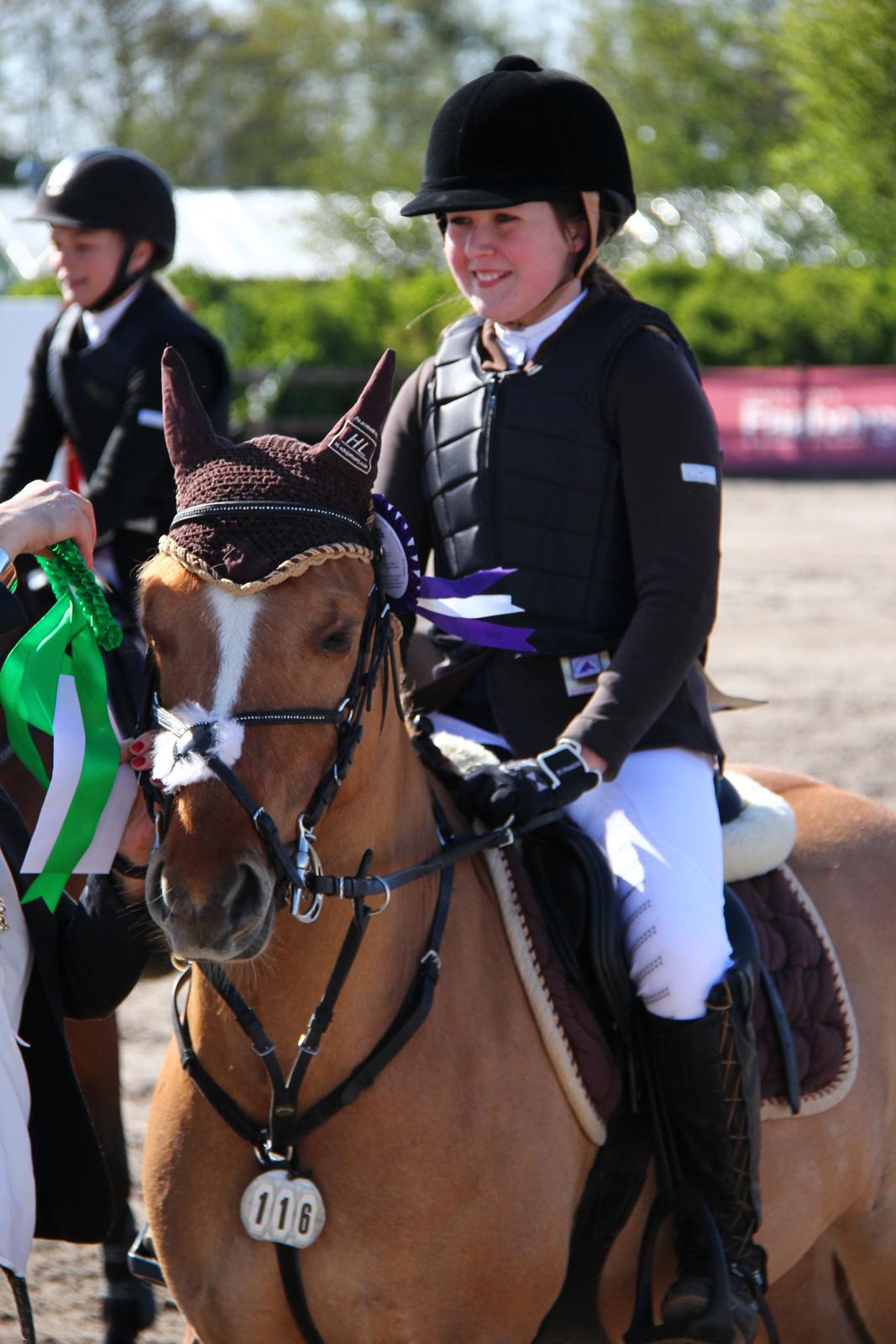 Anden særlig race Idefix billede 13