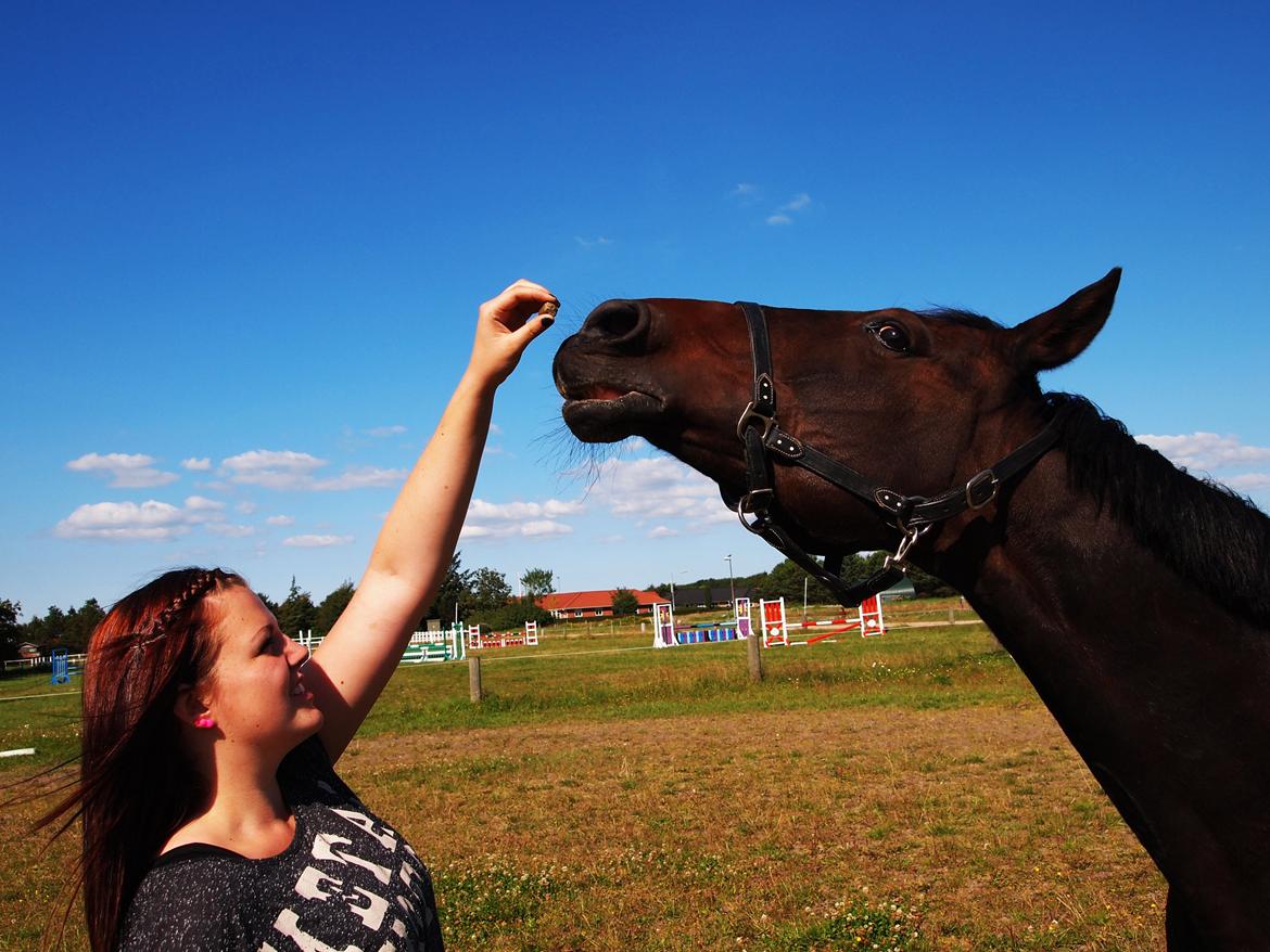 Traver Queen For Charity (SE) billede 11