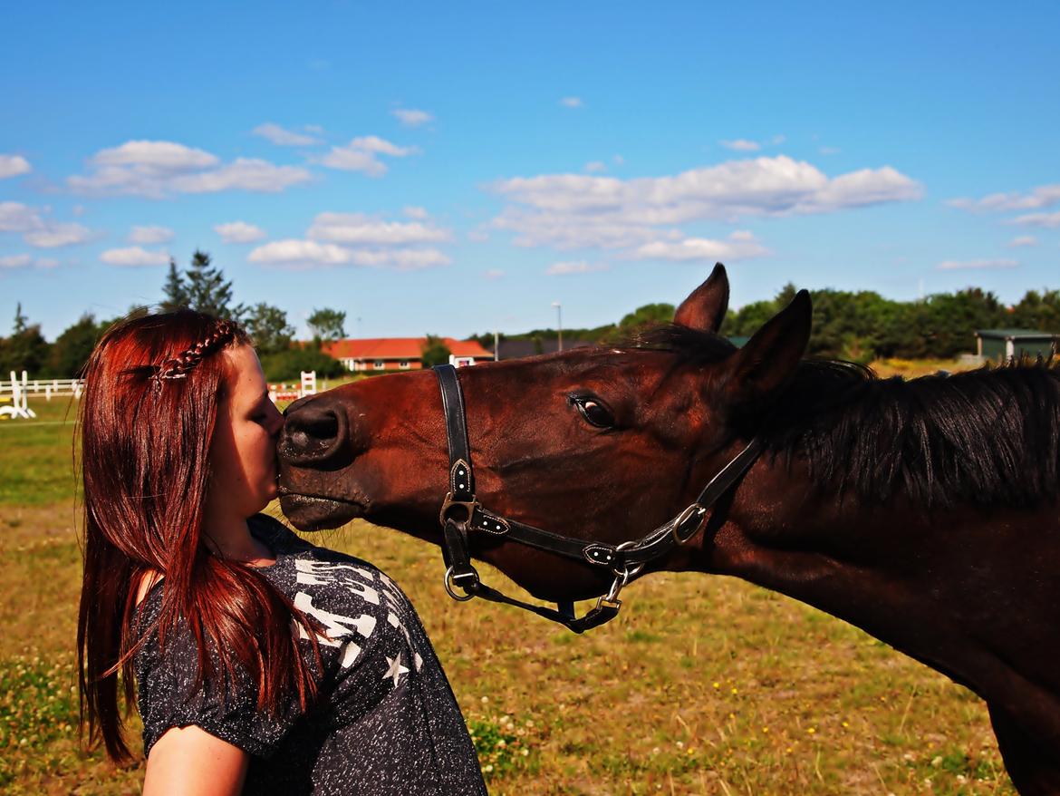 Traver Queen For Charity (SE) billede 14