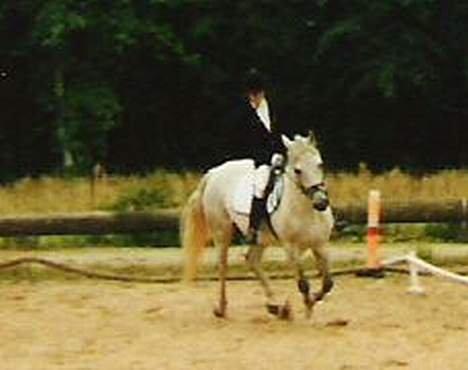 DSP JESSICA - Dressurstævne i DRLR, mener det er en LB?  billede 6