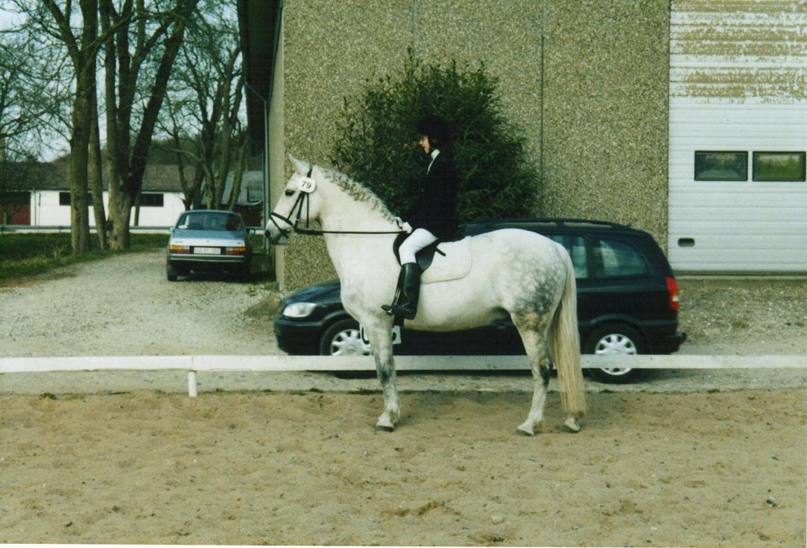 DSP JESSICA - Første stævne i DRLR <3 billede 8