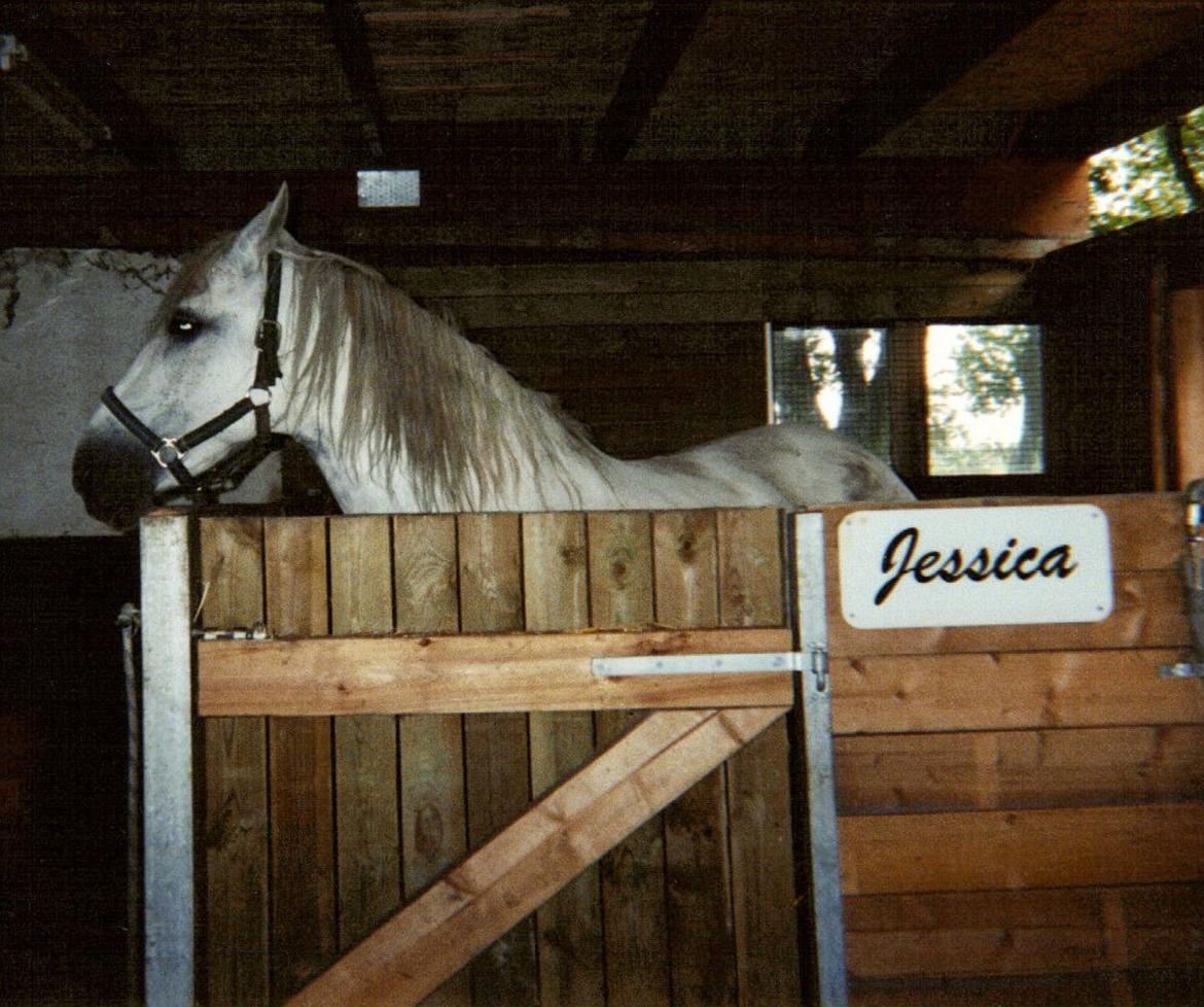 DSP JESSICA billede 9