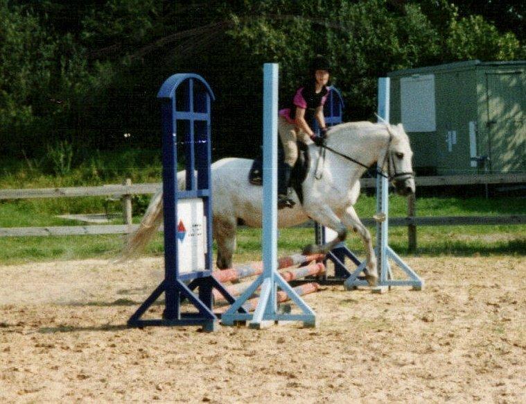 DSP JESSICA - Ridelejr i Ulsted billede 10