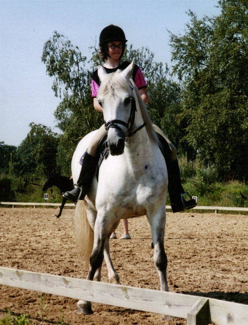 DSP JESSICA - Ridelejr i Ulsted billede 11