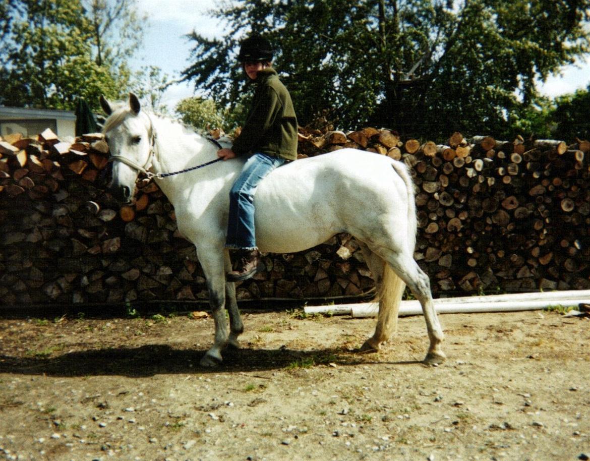 DSP JESSICA - Lige kommet hjem fra stævne <3 billede 13