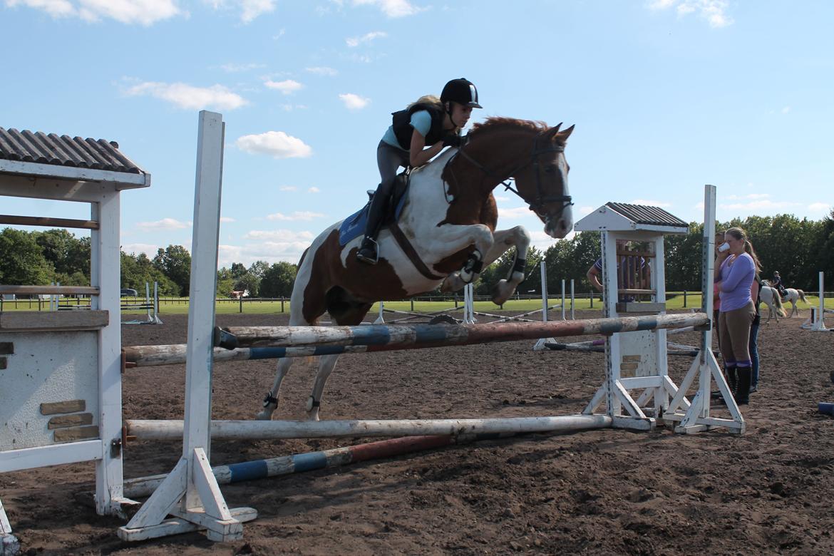 Anden særlig race Bailey<3 - Du tager mig til månen og tilbage<3 billede 5