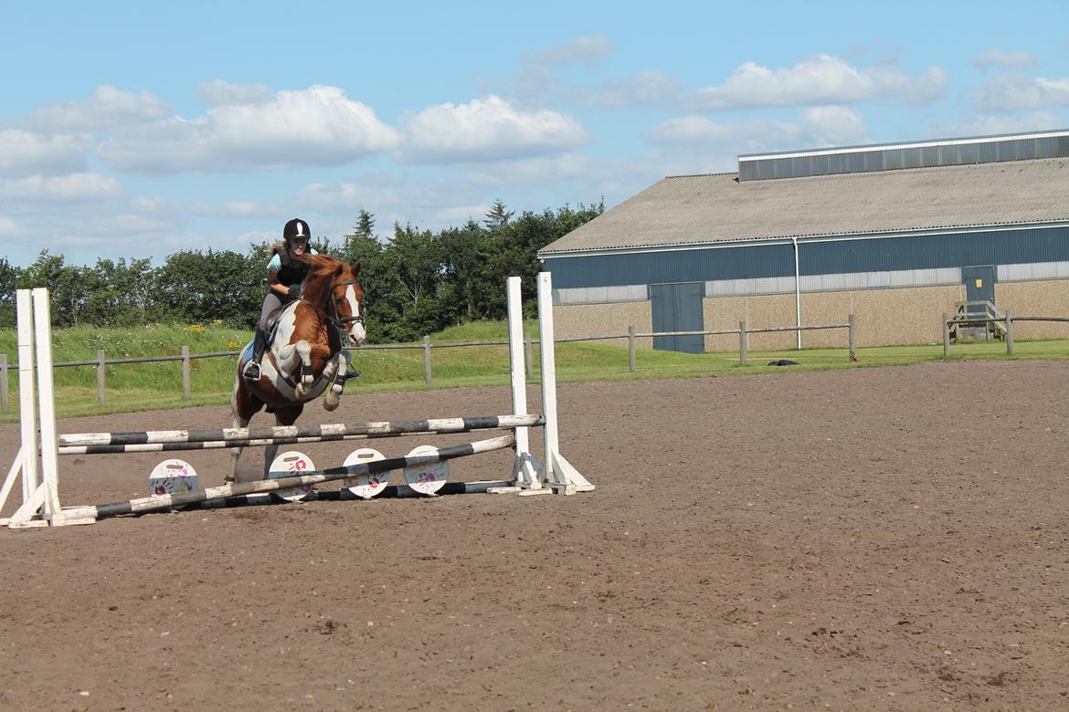 Anden særlig race Bailey<3 - "You can't make the same mistake twice. The second time you make it, it's no longer a mistake - it's a choice"<3 billede 13