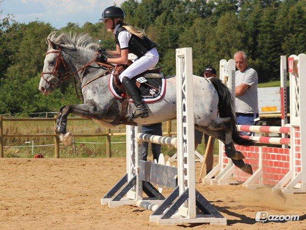 Appaloosa MR. APPELBEY **B-pony** (Søsters pony) billede 2