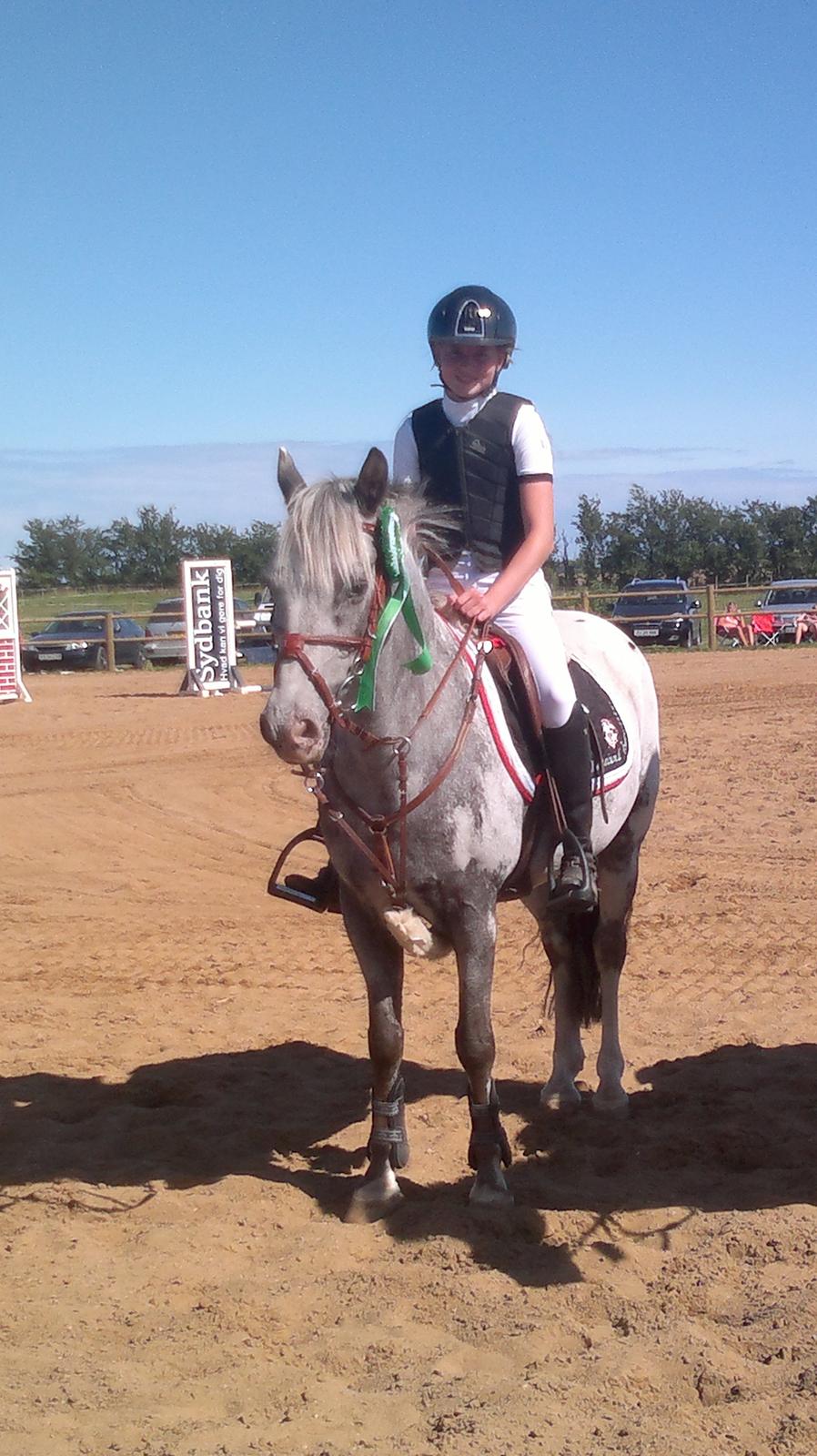 Appaloosa MR. APPELBEY **B-pony** (Søsters pony) billede 3