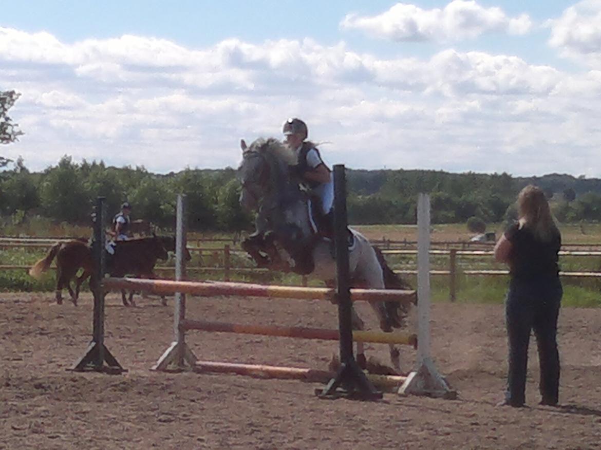 Appaloosa MR. APPELBEY **B-pony** (Søsters pony) billede 4