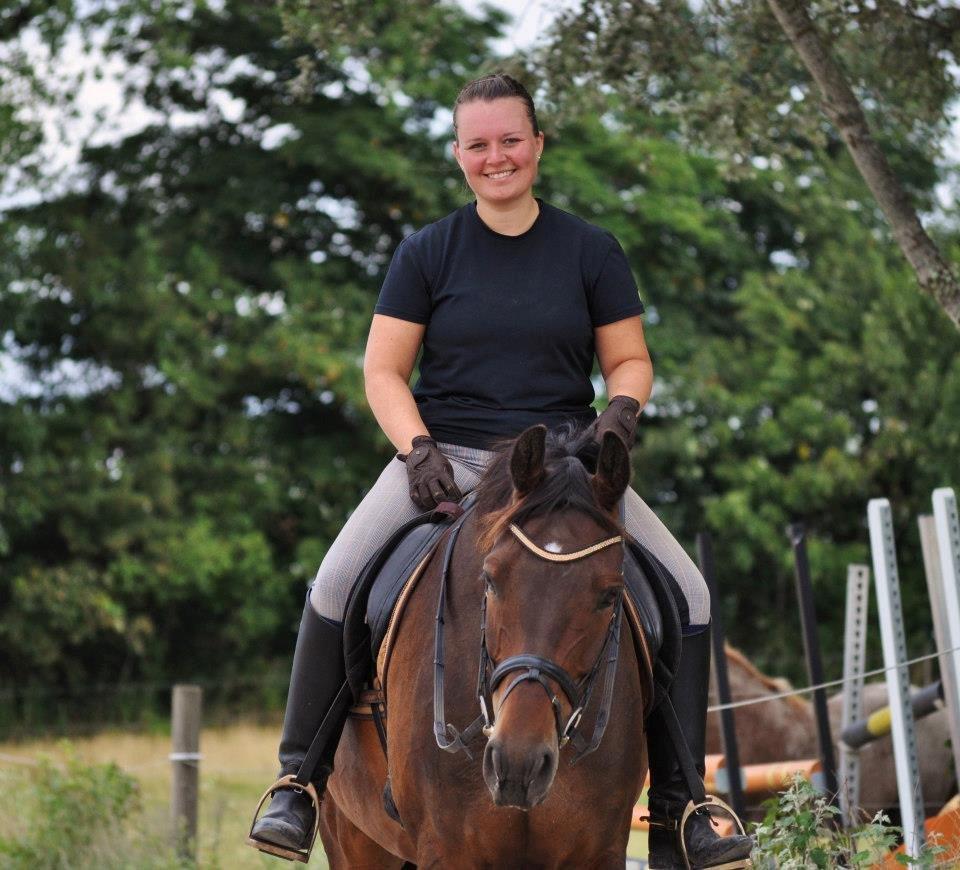 Dansk Varmblod Stald Mejses Cordell - d. 14 august 2012, Taget af Line Børner billede 19