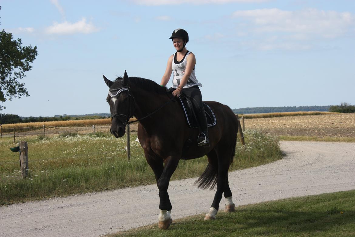 Schweres Warmblut Gero - Kæmpe babyen med mini mig på ryggen :D 
d.14.08.12 - Lama billede 8