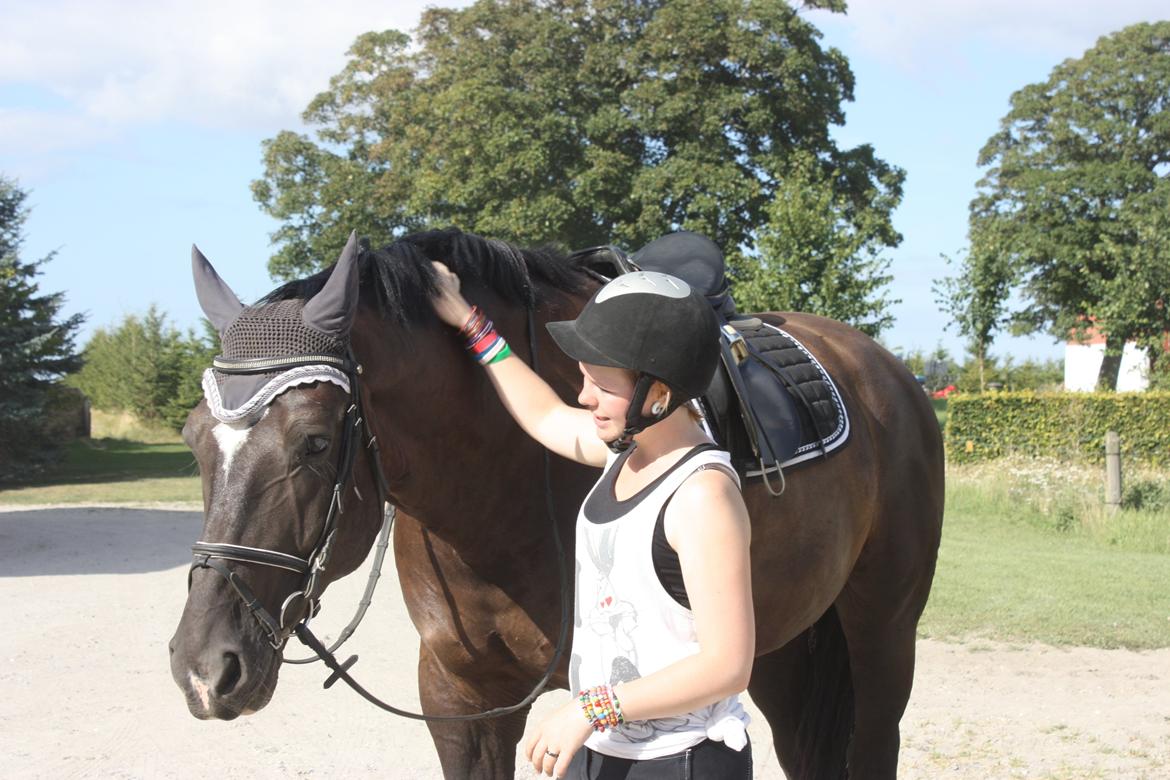 Schweres Warmblut Gero - Kæmpe babyen efter ridning :) 
d.14.08.12 - Lama billede 13