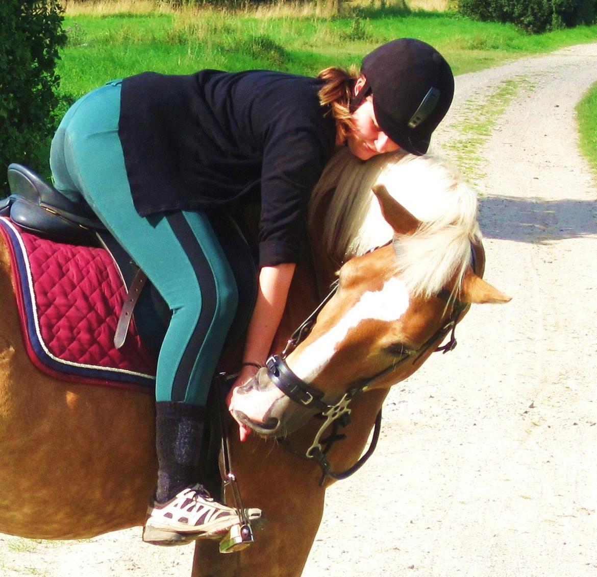Haflinger Nina [Himmelhest] billede 15
