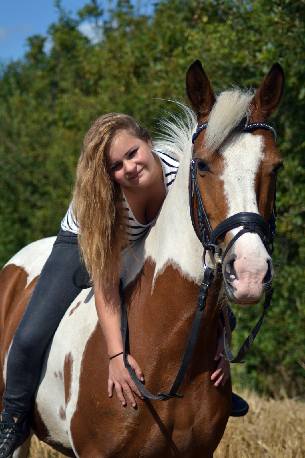 Pinto • Medina • - Potoshoot 13-08-12 billede 7