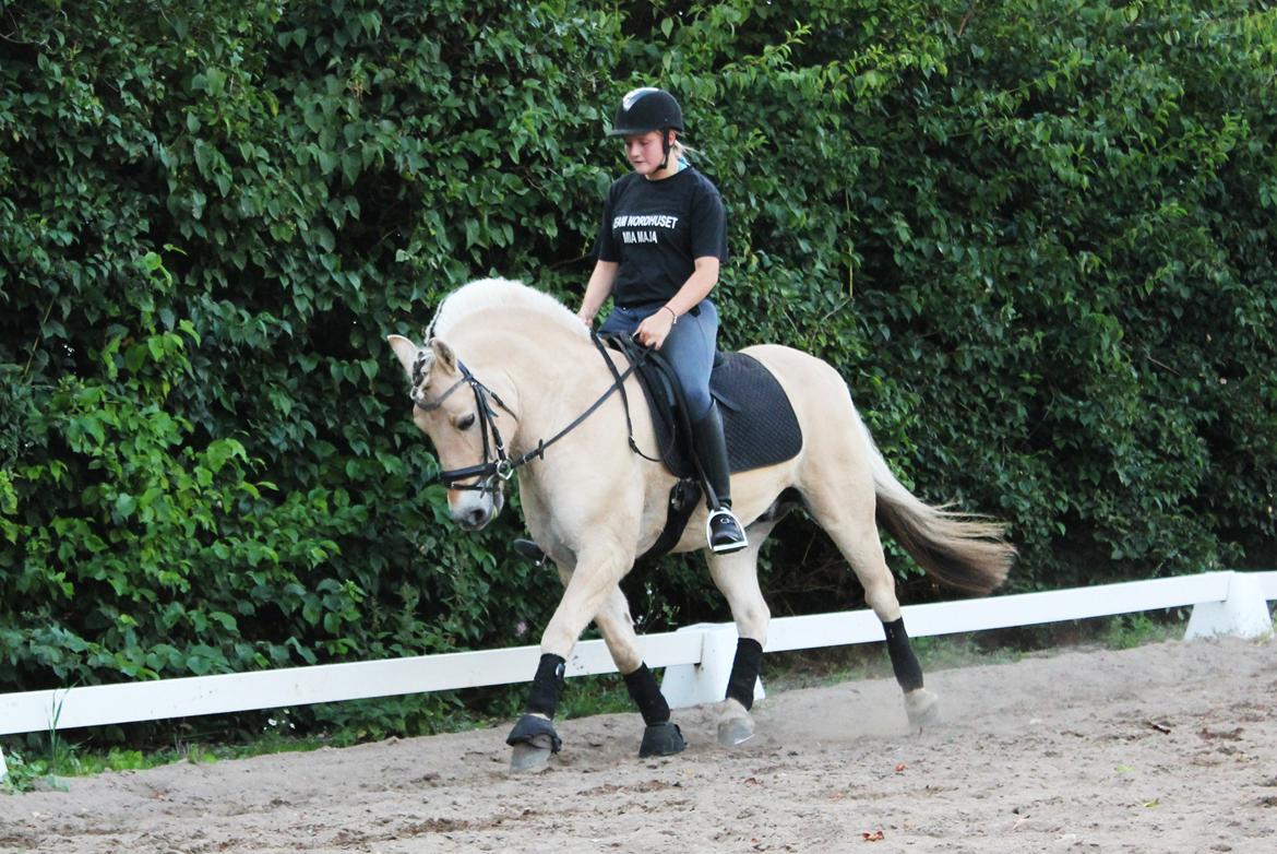 Fjordhest Milos Klattrup <3 #Dressur stjernen# - Dressur træning d.8/8-2012 dygtige pony <3 billede 11