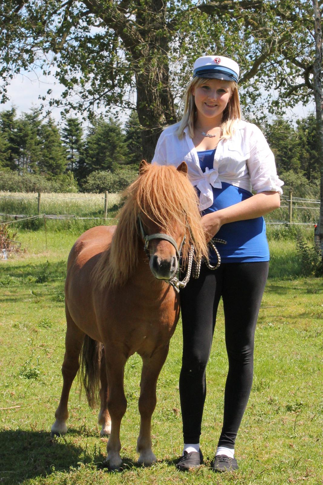 Shetlænder Nordhusets Hannibal Small <3 #Pony prinsen# - Student anno 2012! - Min pony prins <3 billede 1