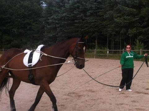 Fuldblod (XX) Pistoleiro billede 20