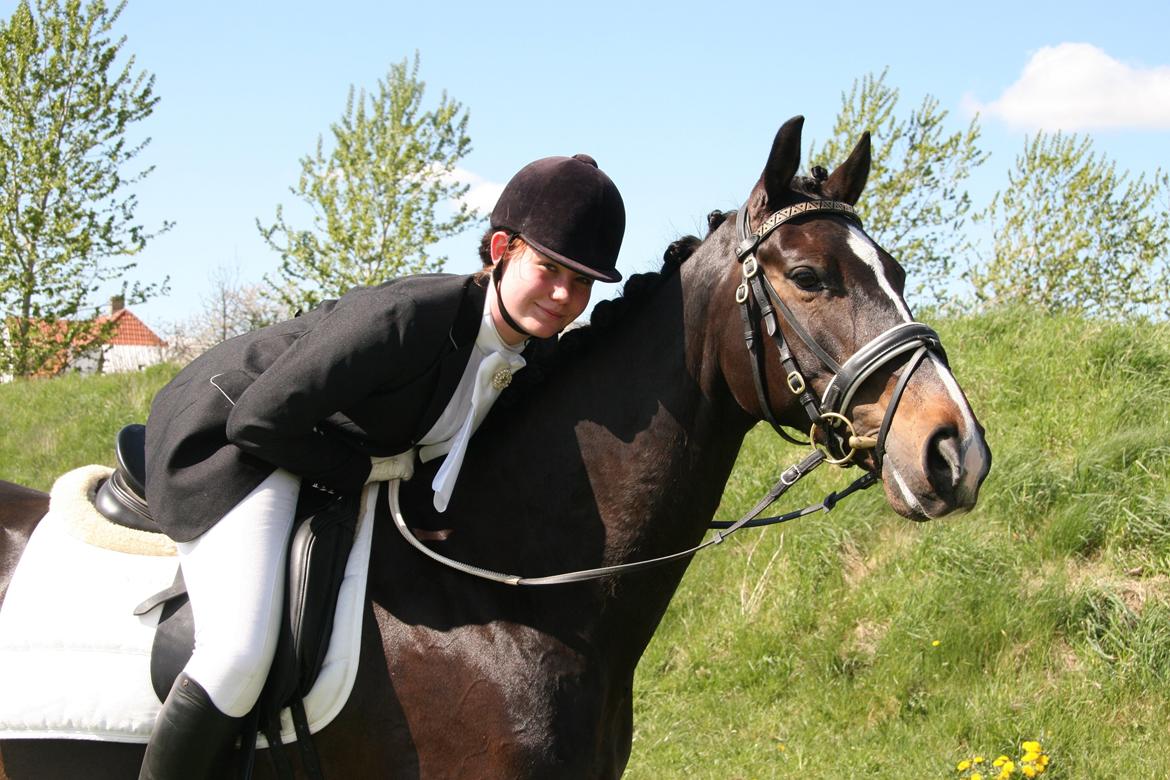Dansk Varmblod Vadum Torp's Mikado - Du gør mig så lykkelig, en fantastisk partner og bedsteven <3 billede 19