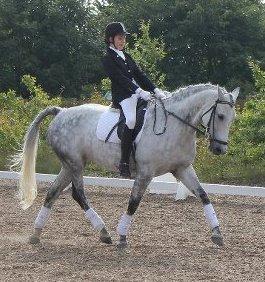 Dansk Varmblod Uphelia Stenagergaard - Dressur <3 billede 16
