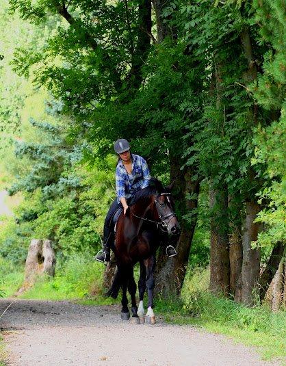 Hannoveraner Rushmore billede 12