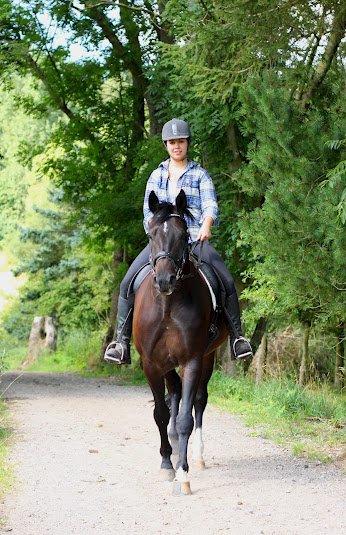 Hannoveraner Rushmore billede 13