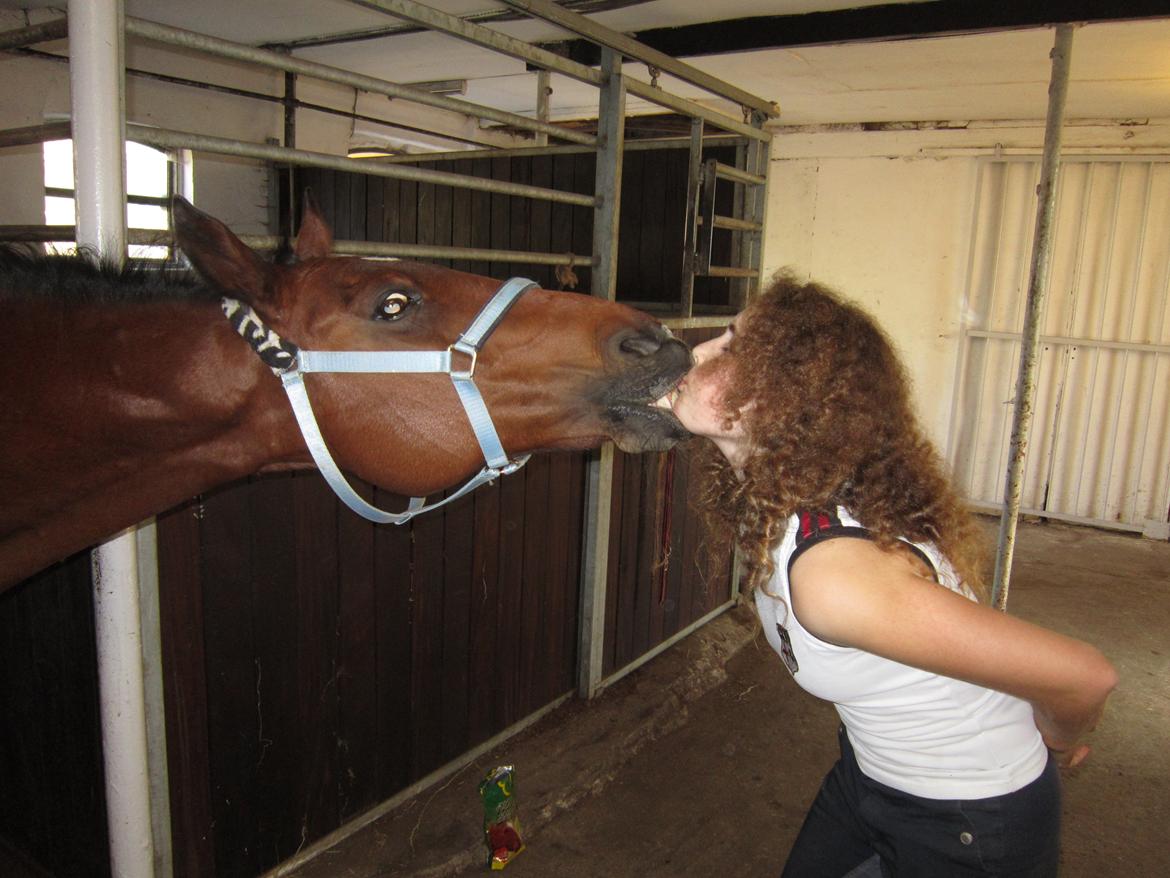 Traver Alex GT  hvil i fred <3 - Elsket lille A billede 9