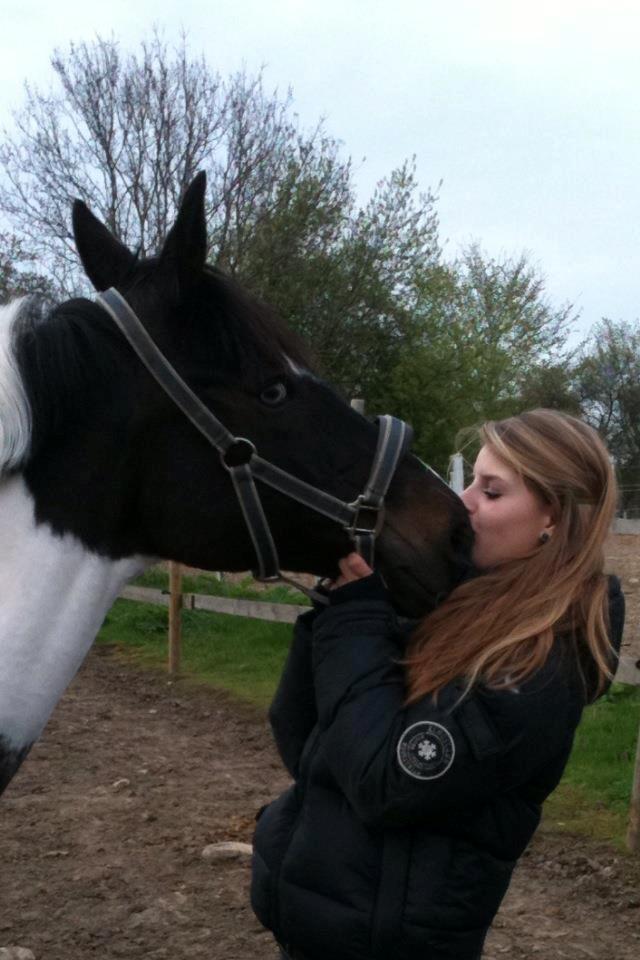 Tysk Sportspony Kiowa 006  *R.I.P* - jeg savner og elsker dig :( R.I.P verdens sejeste tøs, du har fandme gjort det godt. billede 6