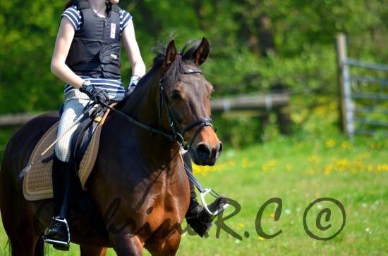 Anden særlig race Jannie<3 - Life is perfect!! billede 13