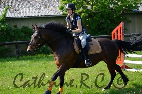 Anden særlig race Jannie<3 billede 15