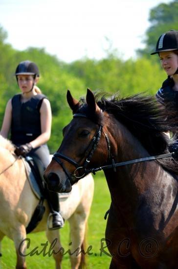 Anden særlig race Jannie<3 - Velkommen til Jannies profil;) Den livsglade pony på springbanen;)<3<3 billede 1