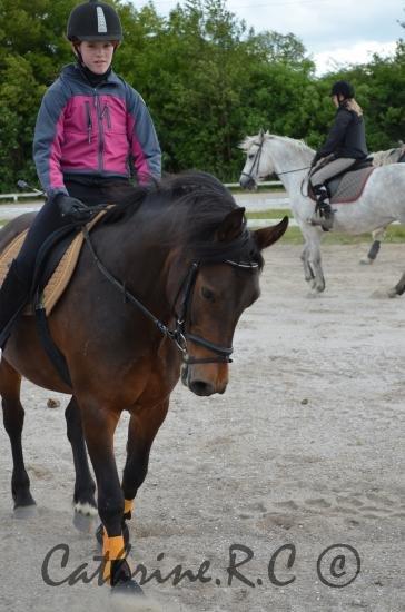 Anden særlig race Jannie<3 - opvarmning billede 17