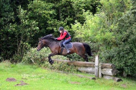 Anden særlig race Jannie<3 - Terrænkursus..xD billede 19