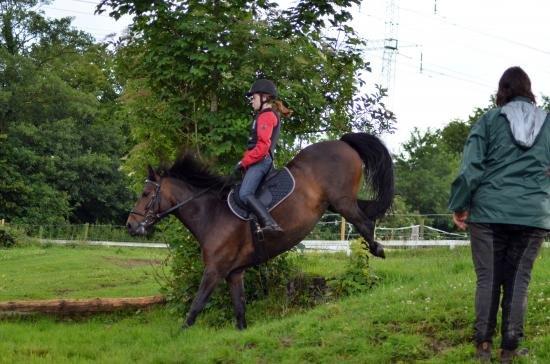 Anden særlig race Jannie<3 - Vi springer ned ad bakke;) billede 2