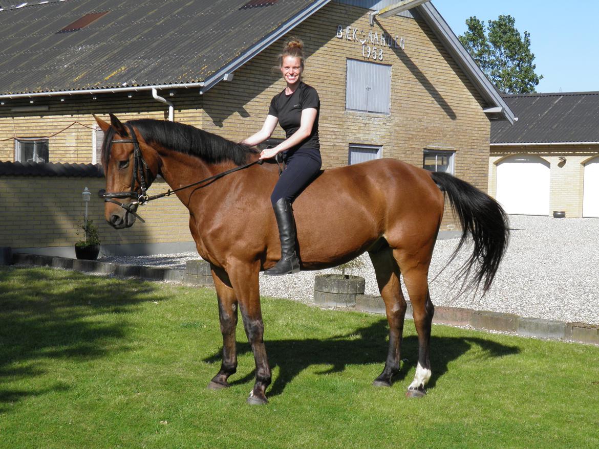 Westfaler MR jones - sidste dag med jones billede 19