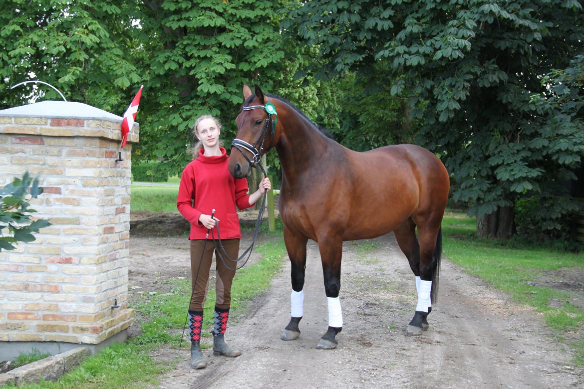 Oldenborg Bødker's Bailey - Søde Line tog billeder af os alle sammen efter vores skønhedskonkurrence på ridelejren. Her er et billede af vinderen og hendes ejer<3 billede 11