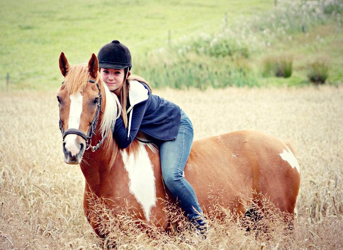 Hollandsk Sportspony Nicky (nixon) - D. 16 august 2012! 
Nicky <3 billede 3